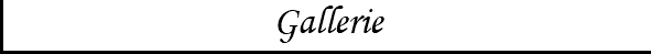 Gallerie